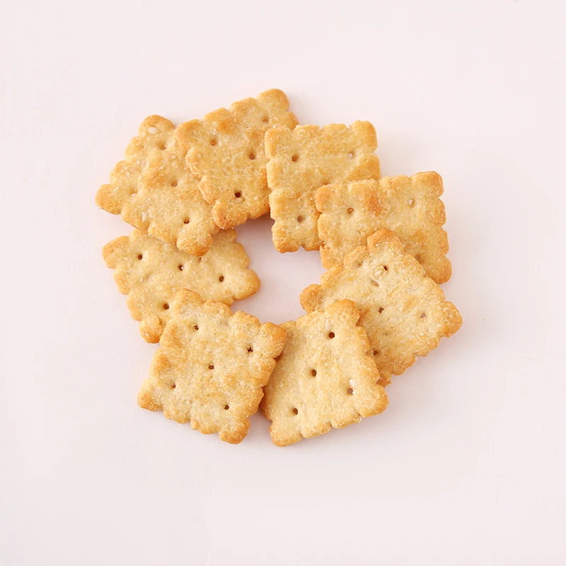 Healthy food snack salty biscuits saltine soda cracker