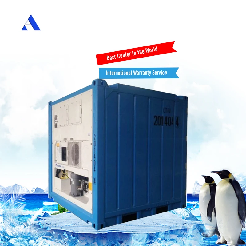 DNV2.7-1 и EN12079 Стандартный 8 футов морской рефрижератор для хранения свежих замороженных продуктов в Циндао Далянь