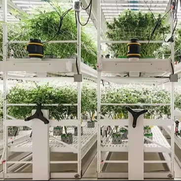 Hydrophonics growing equipment full spectrum indoor LED growing light