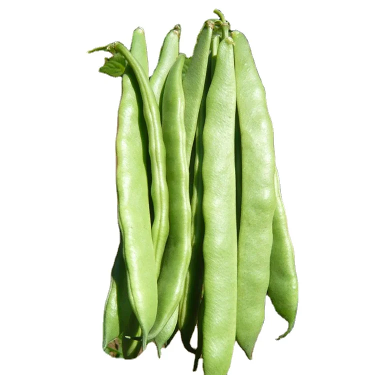 
Sharp Dragon BRC A Approved W10-15MM IQF Green Romano Bean Sliced Cut Frozen Romano Beans 