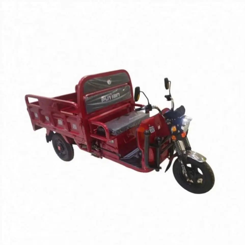 Hot SKD 3 Wheel Motorcycle Electric Tricycles For Sell