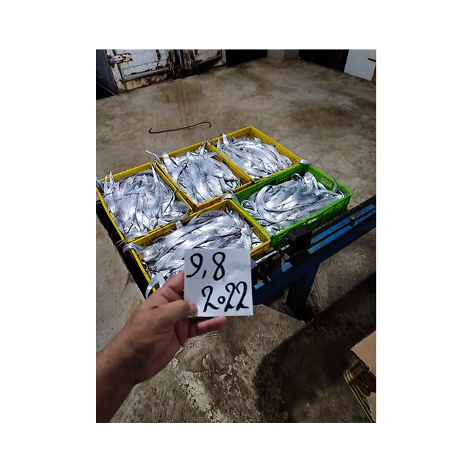 Private Label Cheap Quality Suppliers Seafood Export Frozen Ribbonfish