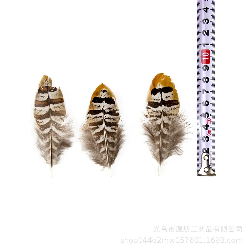 50 Piece/Bag Natural colorful wild chicken feather figure Pheasant feathers for DIY garment craft accessories width 6-16 cm