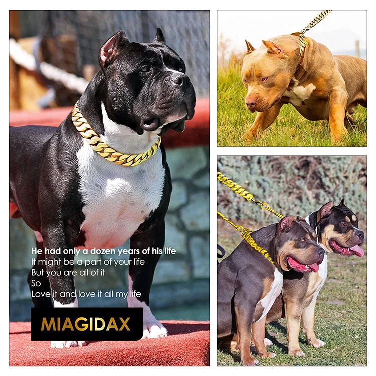 Pet Training Dog Chain luxury stainless steel metal pet collar cuban link gold dog chain with Buckle