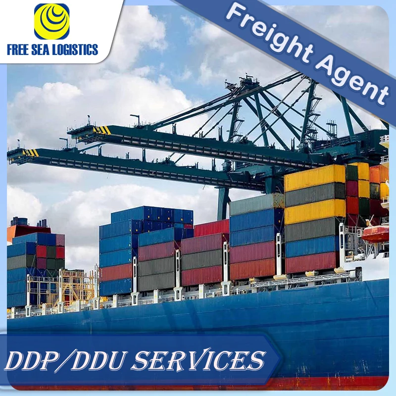 Professional Shenzhen Shipping Agent From China FCL 20GP 40HQ whole container shipping to Mexico Brazil