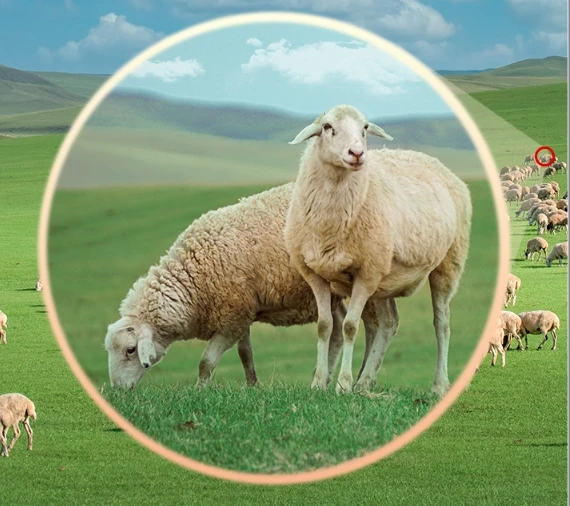 SC001 (6).png