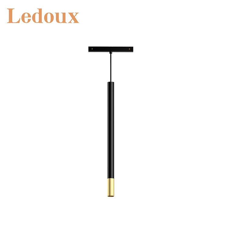 LEDOUX New Arrival 48V Magnetic Track System Free To Move Museum Gallery Indoor Track Lamp 8W 10W LED Magnetic Track Light