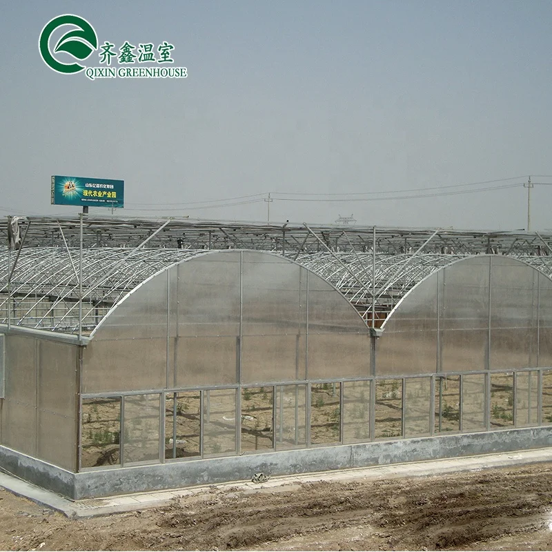 
venlo multispan greenhouse with hydroponic system 