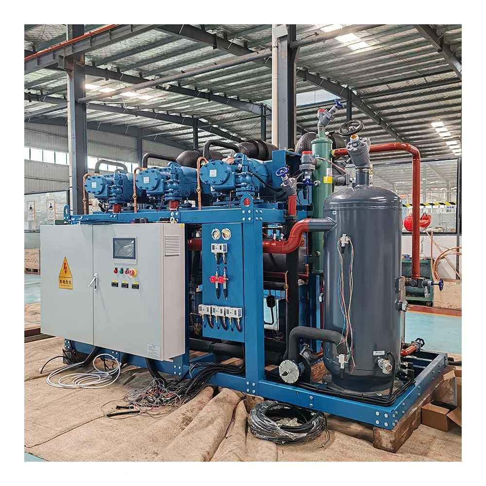 Walk In Freezer Refrigeration Low Temperature Scroll  Compressor Air Cooled Condensing Unit For Cold Room Storage