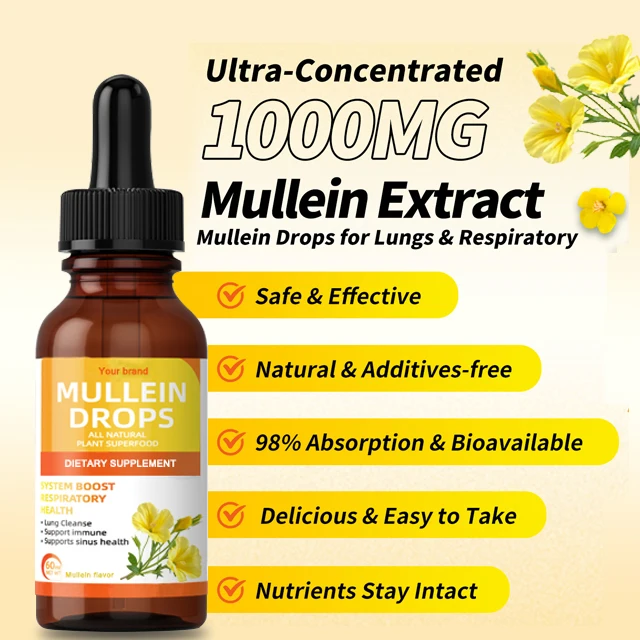 OEM mullein leaf drops supports healthy respiratory function alcohol-free respiratory system promotion natural herb syrup