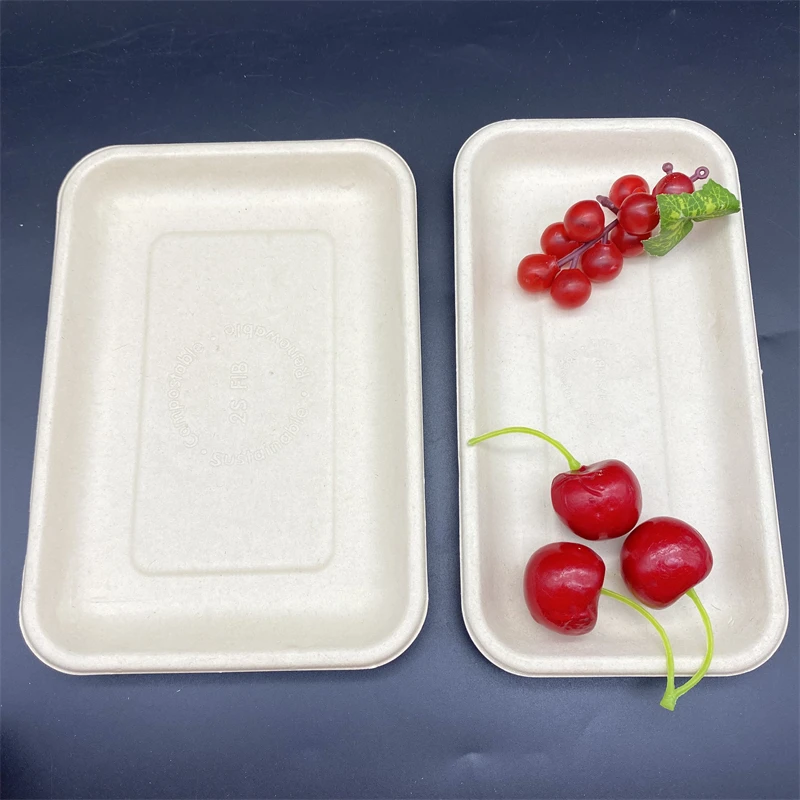 Biodegradable Paper Pulp Fruit Meat Tray Rectangle Square Disposable Food Tray