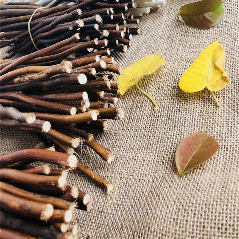 Оптовая продажа организация цветов натуральные деревянные части белые коричневые стебли