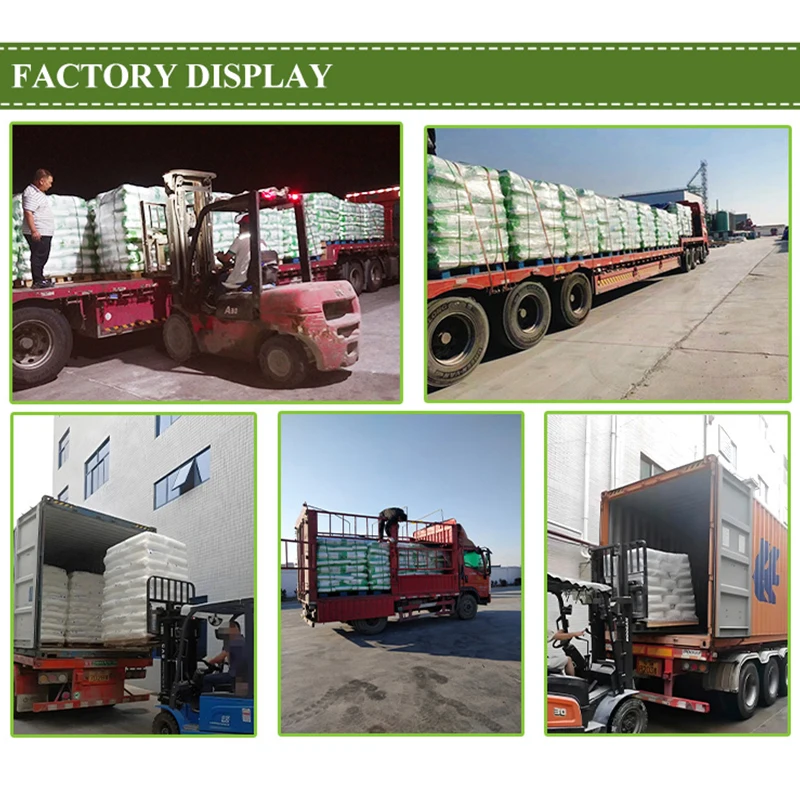 Pharmaceutical Gelatine granule for Softgels and Hard Capsules