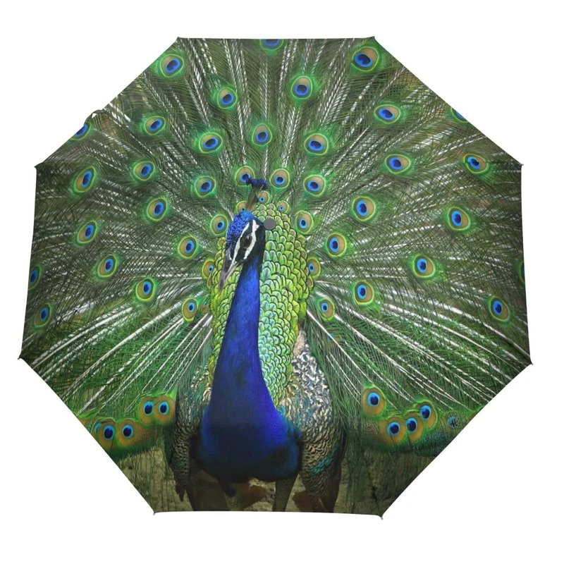 Shenzhen Umbrella Factory Supply Umbrellas With Custom Graphic