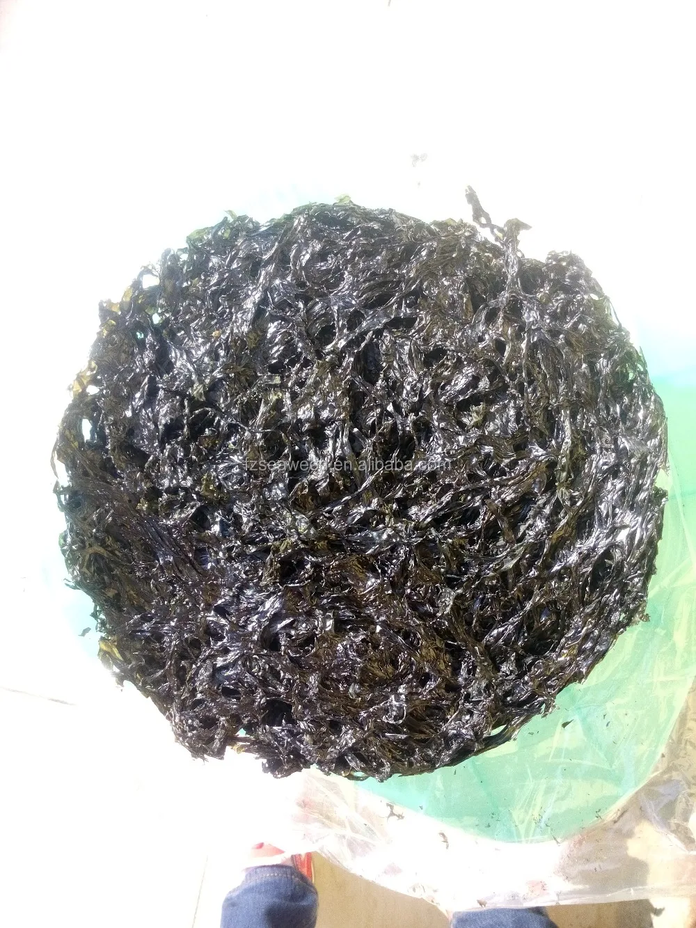 Sheets roasted seaweed laver yaki sushi nori