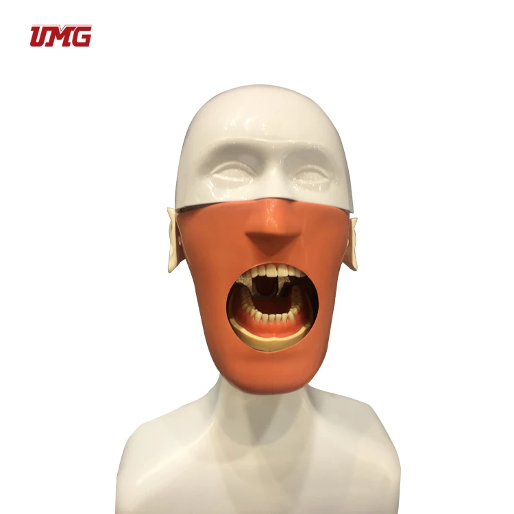 Dental simulation system training manikin used dental simulator