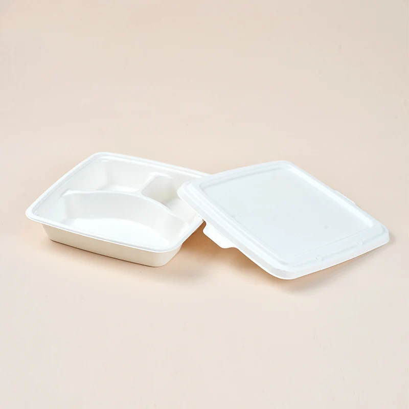 100% Biodegradable Sugarcane Bagasse Take-out Food Container Disposable Bagasse Pulp Lunch Box