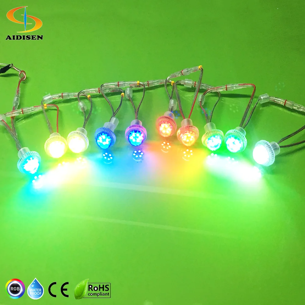Auto Fun Fair Entertainment LED Lamps Programmable 24V Outdoor Lighting IP68 Pixel Dot for Amusement Parks
