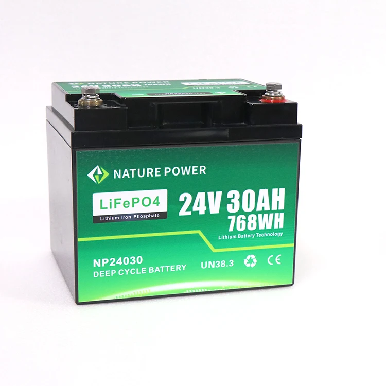 NATURE POWER Deep Cycle Lithium-Ion Battery with BMS 24v 30Ah Car Cranking Battery Lifepo4