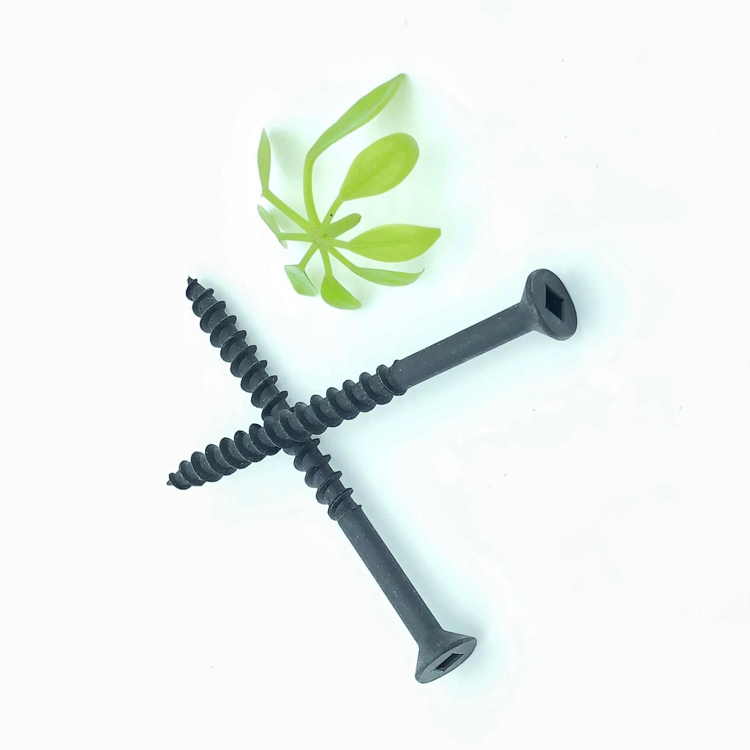 Wholesale Factory Price Black Color With Flat Head Oval Head Wood Screws