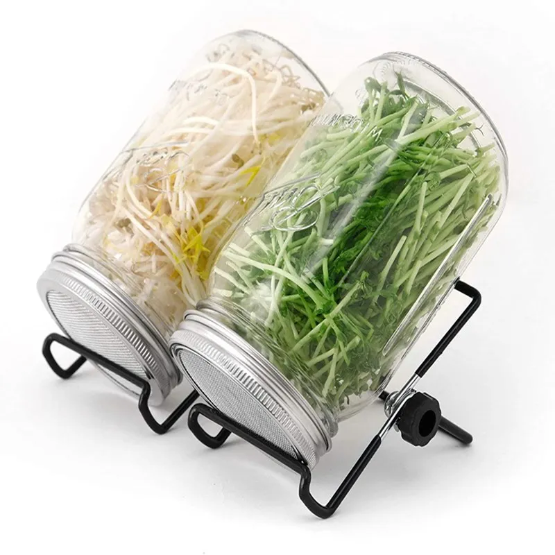 Seeds Tea Sugwedding Dress 7 Working Days Mason Jar Transparent Ceramic Luxury Multifunction Storage CLASSIC Wine Glass 10 Cm