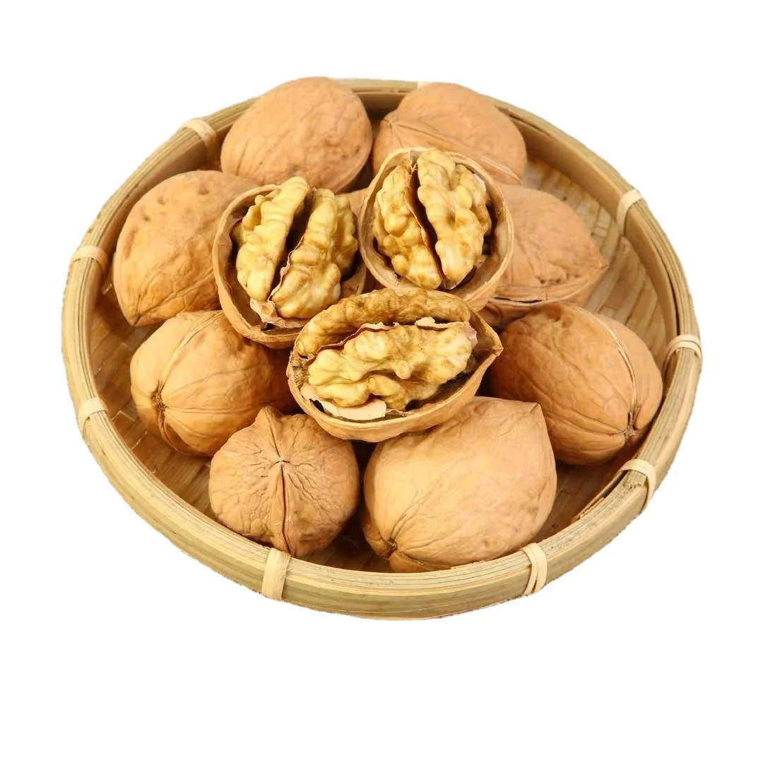 Good price wholesale sale fresh chinese dryfruits paper shell walnut sample walnut