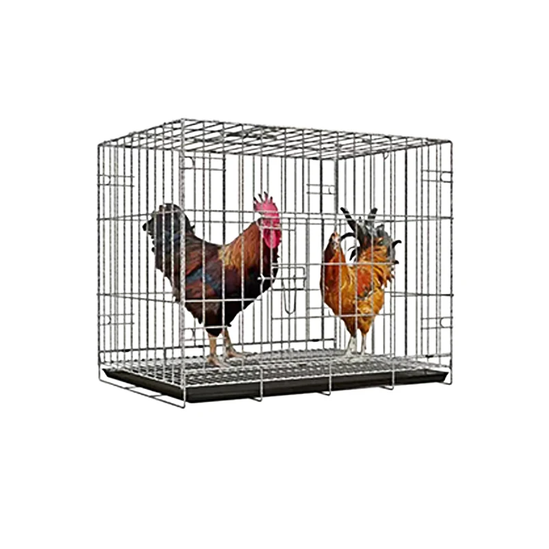 Live Poultry Plastic Transport Crate Cage Different Sizes for Chicken Goose Pigeon Rabbit Chick Quail-Used for Farm Industries