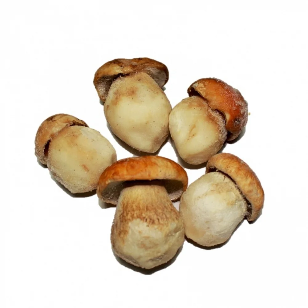 
market price high quality dry boletus edulis mushroom 