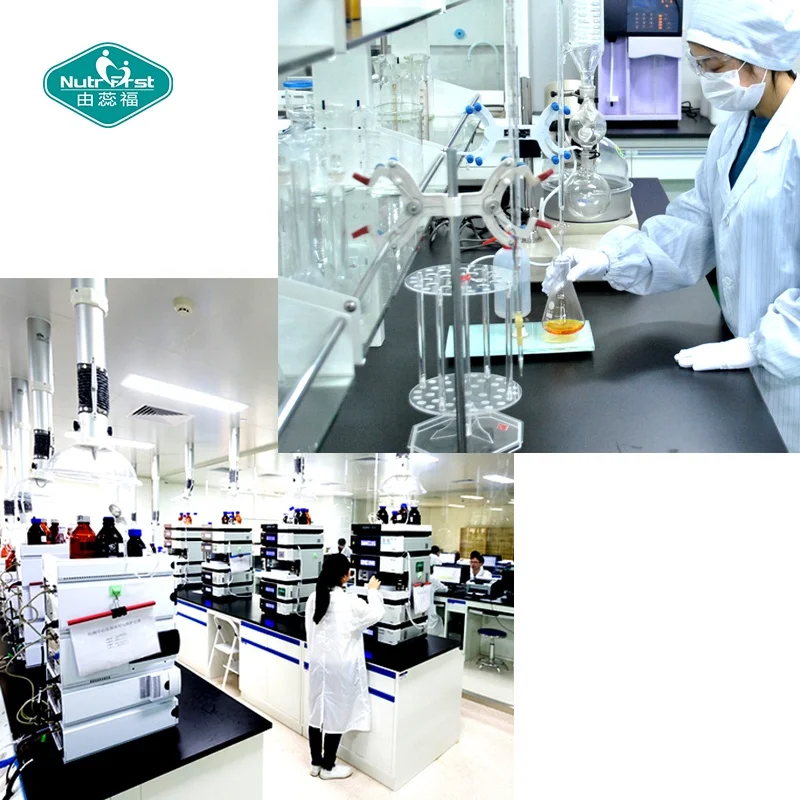 Nutrifirst Custom Customization OEM Improves Heart Health Provides Skincare Benefits Soy Lecithin Softgel Capsules