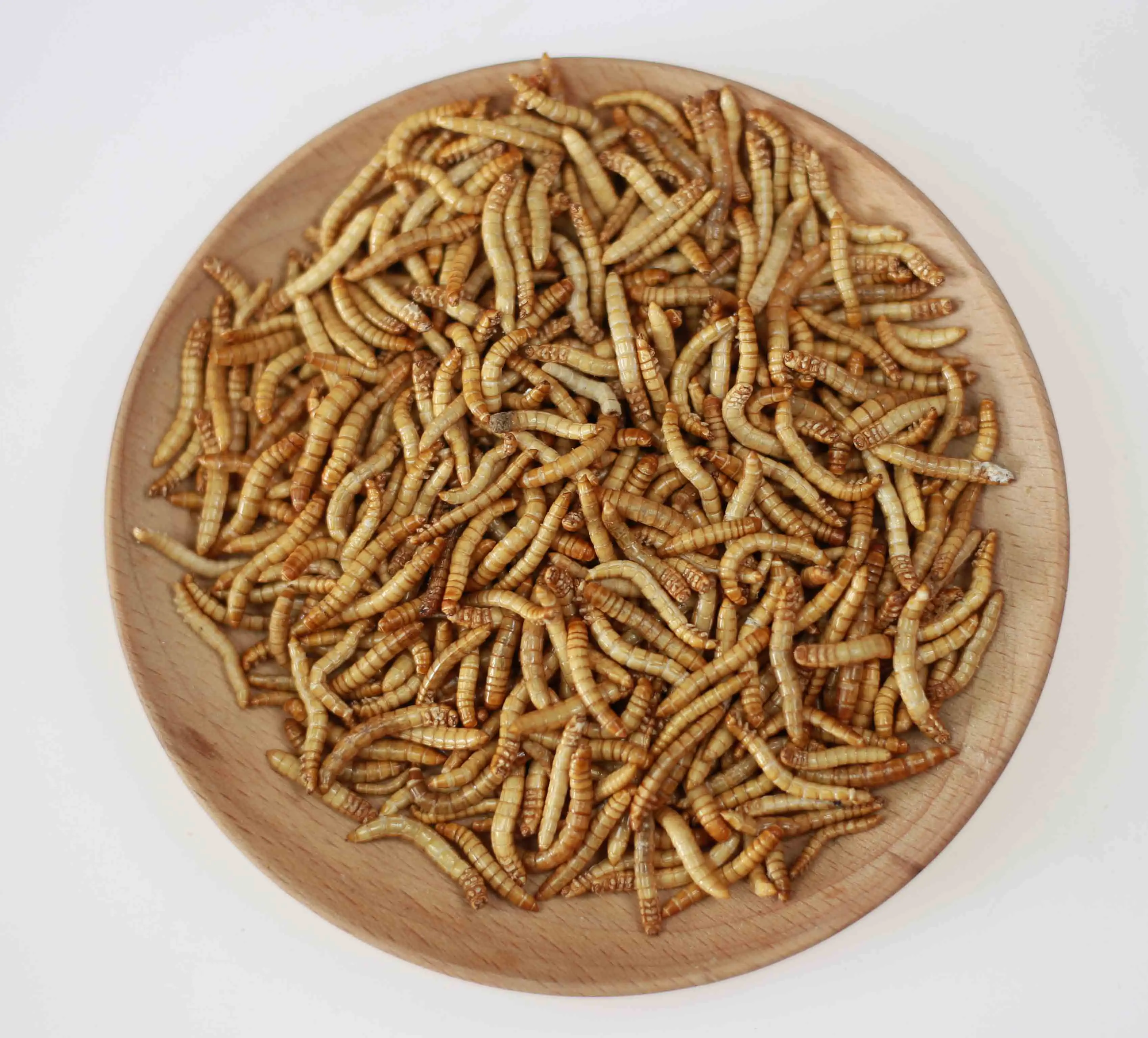 Натуральный МД Mealworm SD mealworm для куриных птиц и других маленьких домашних