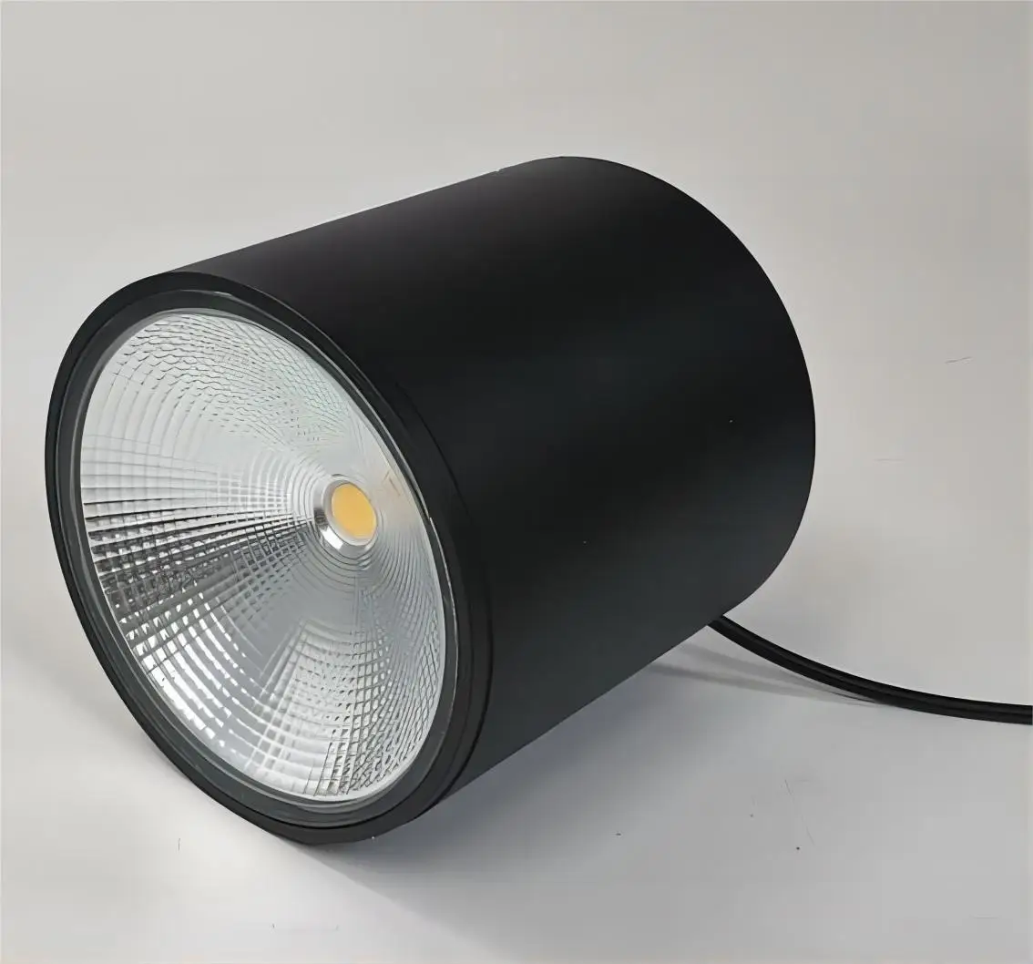 IP65 Waterproof DALI Dimmable Surface Mounted COB Downlight 5W 10W 12W 15W 18W 20W LED Downlight