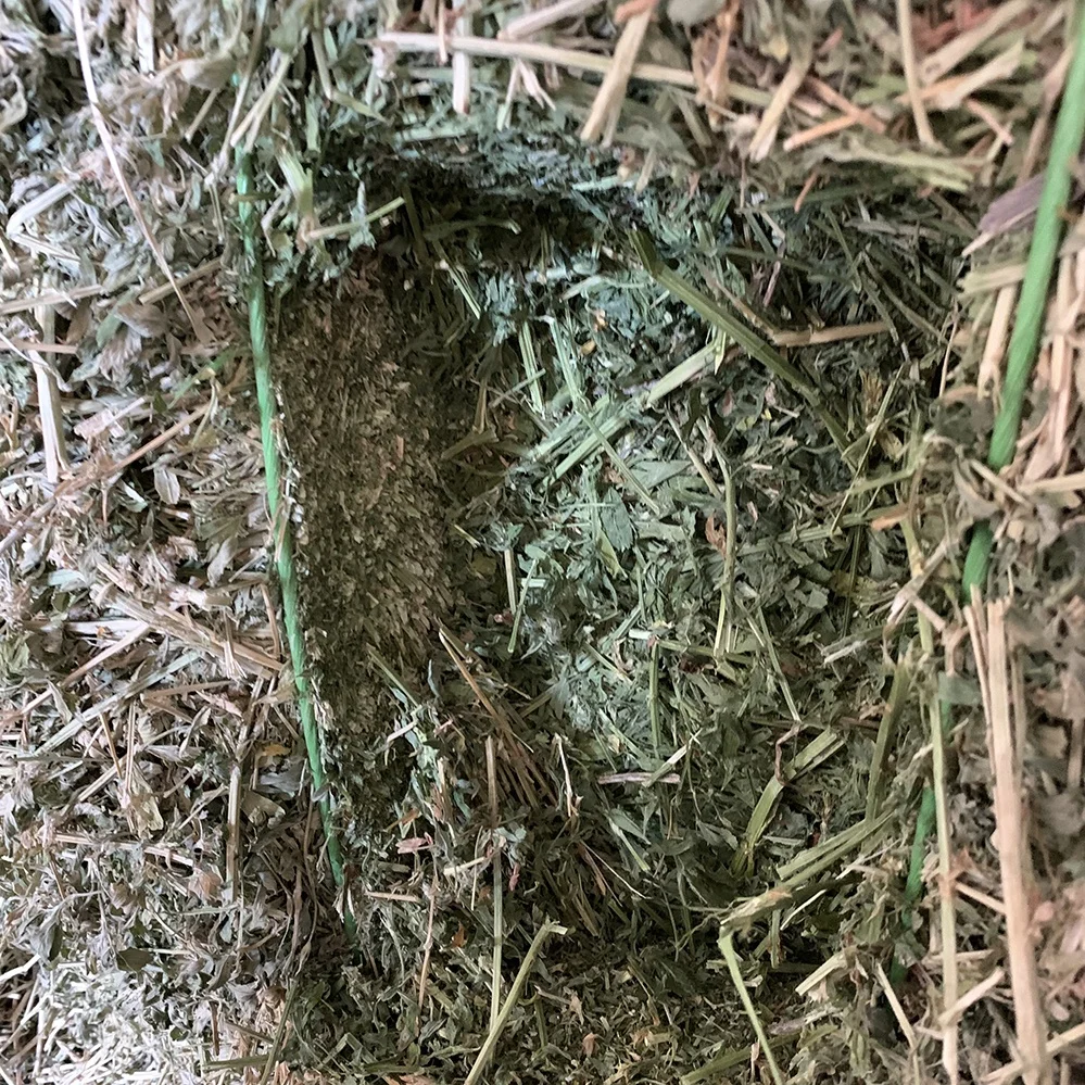  T&H high quality alfalfa