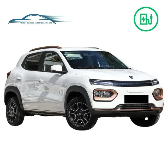 Factory Delivery Dongfeng Nano Box High-Speed White  331km Smart  four wheel Pure Electric SUV Family Car