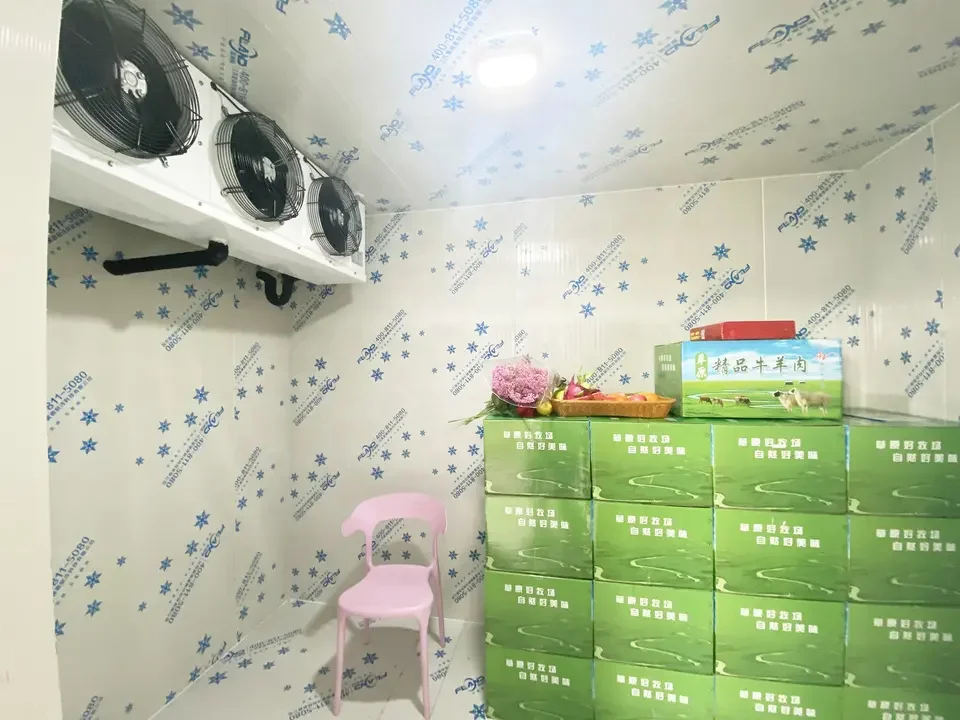 Fireproof insulated rock wool EPS PU sandwich wall panel FLAND Ice Block Cold Room Storage with Refrigeration Unit and Panels