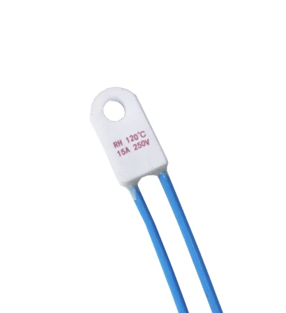 5A Non resettable RH thermal fuse for lamp ceramic RY fuse link with wire leads for ballast 15A source thermal fuse