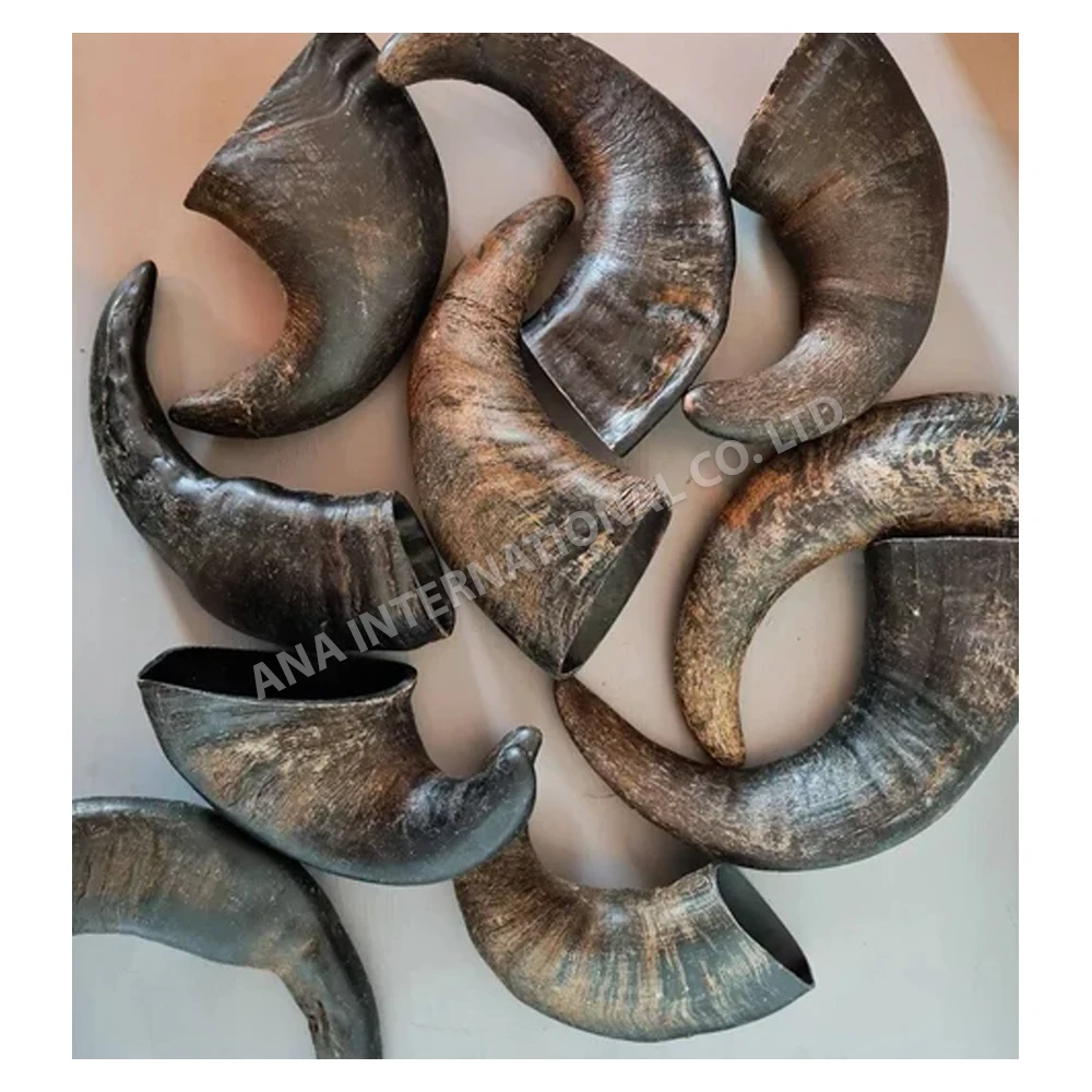 Horn Chew Premium Horn Fusion Wholesale Suppliers from Asia Bangladesh Premium Quality Buffalo Horns Bulk MOQ Custom Size