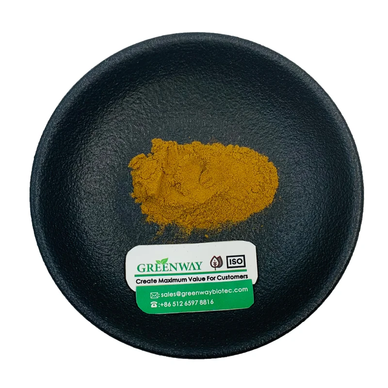 Competitive Price Hydrastis Canadensis Extract Golden Seal Root Extract Powder