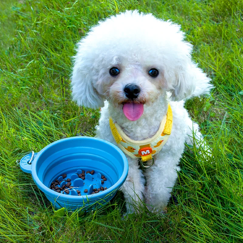 Strong Suction Anti Choking Silicone Pet Drinking Dish Foldable Slow Eating Slow Feeder Pet Travel Bowl Pet Bowl