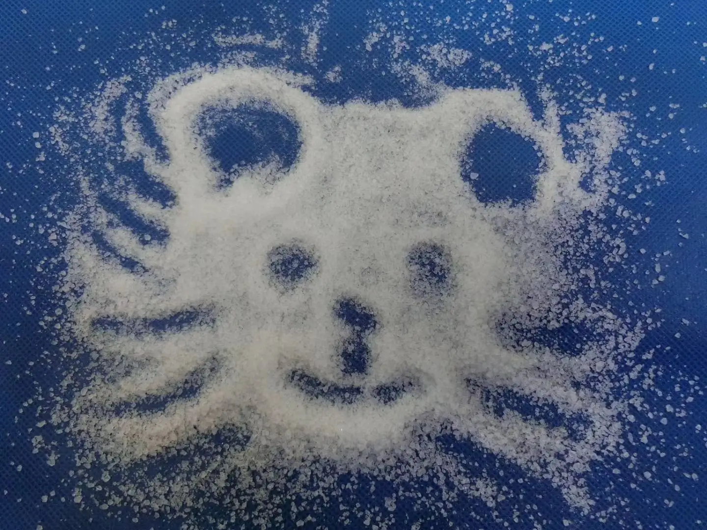 food grade Calcium propionate 98% powder