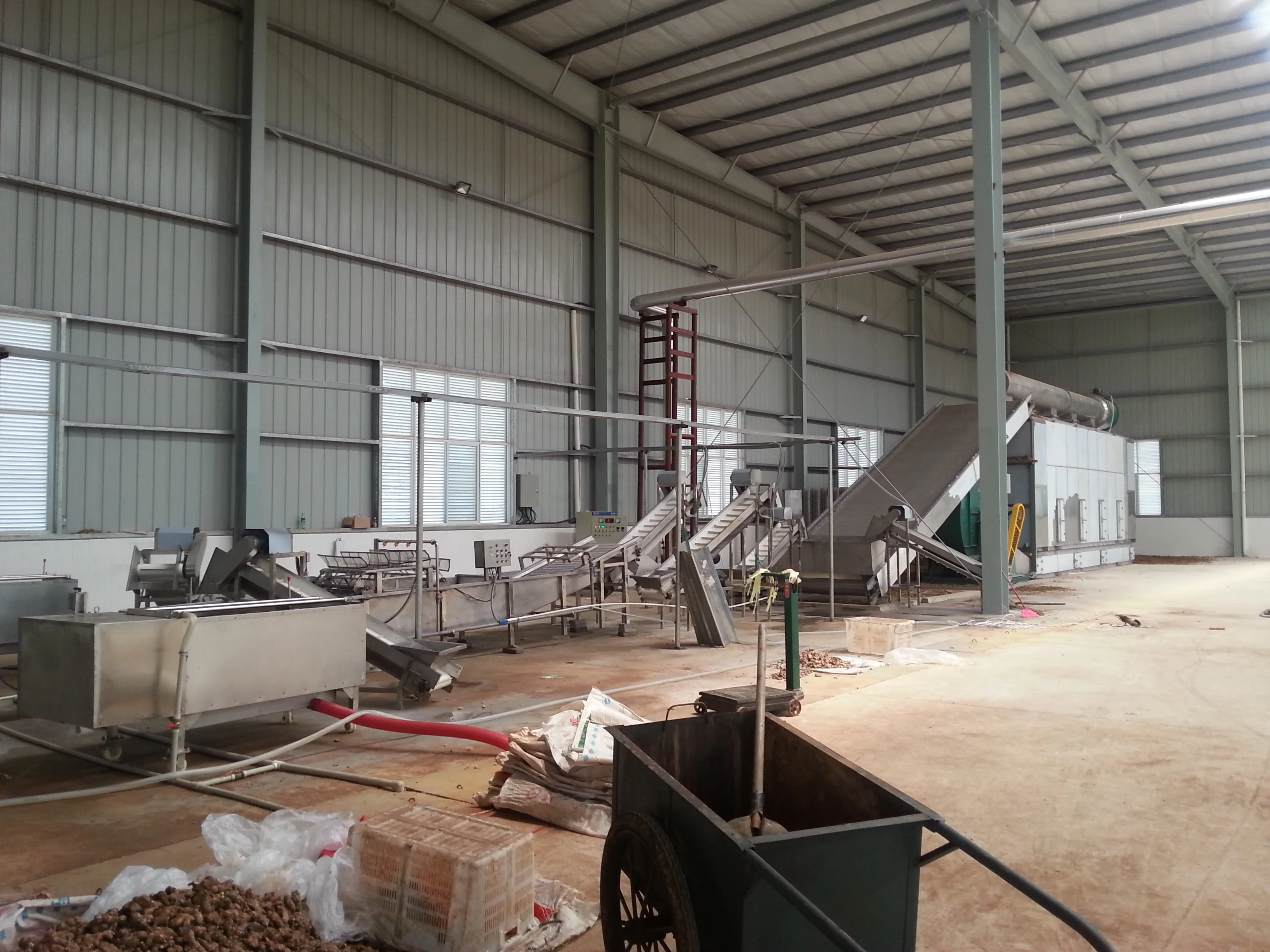 ginger production line.jpg