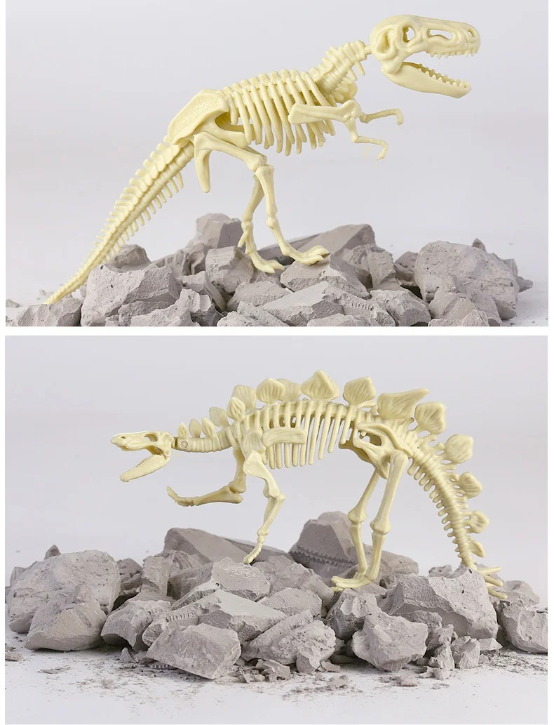 Dig Out Dinosaur Skeleton model Dino Fossil Dig Kit Dinosaur Excavation Fossil Digging Kit for kids