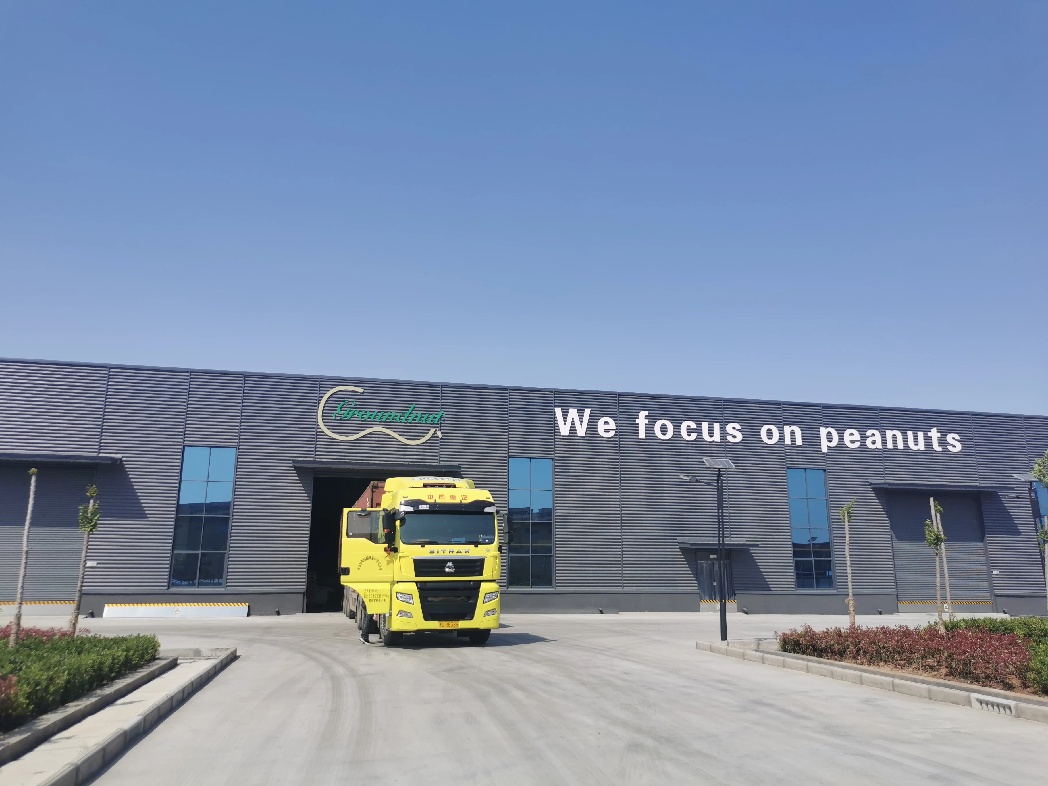 Top Grade Chinese 2020  New Crop Peanuts in Shell