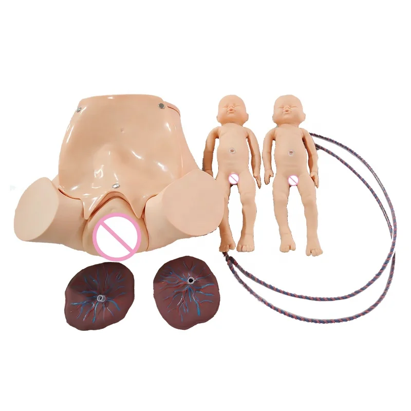 DARHMMY Advanced Comprehensive Childbirth Skills Training Model for Obstetrics and Gynaecology Medical Science Training