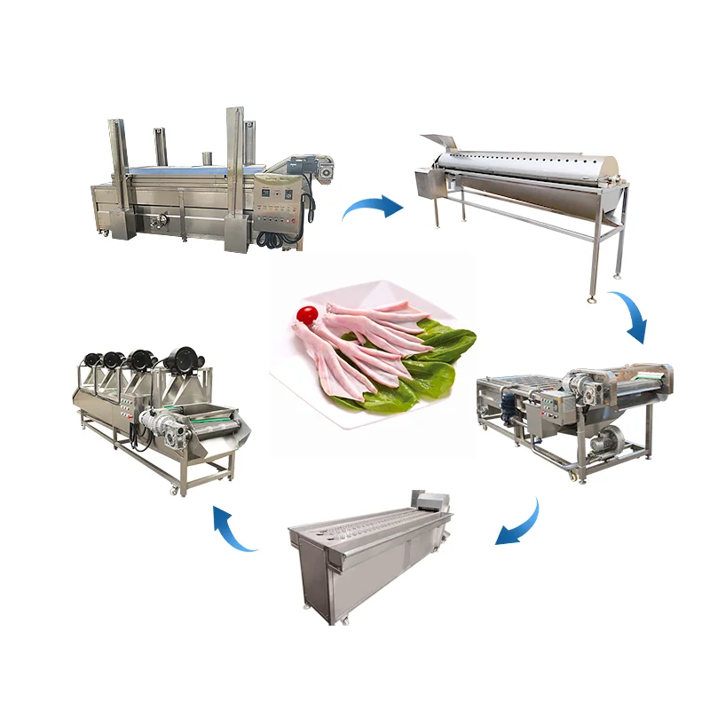 Chicken Slaughtering Production Line Good Halal Chicken Slaughter Line/slaughterhouse Equipment