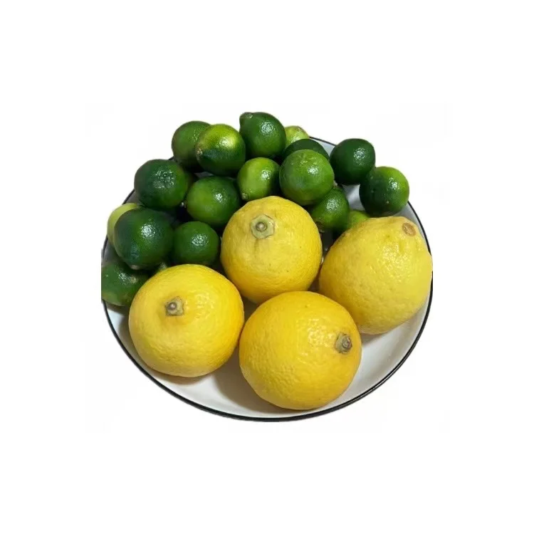 New Arrival 2023 Fashionable Kumquat & Lemon Flavored Concentrate Syrup Juice