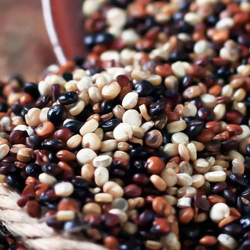 High Protein Sprouted Products Organic Quinoa Grain