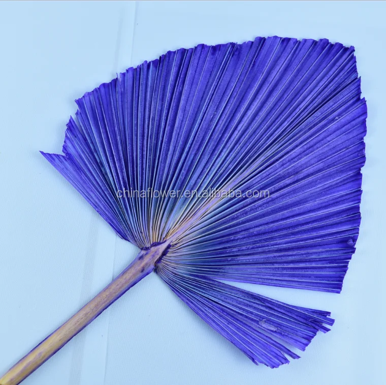 FCD1009 Dried Flowers dried Large palm leaves kinds of dried palm different shape and size for home and wedding decoration
