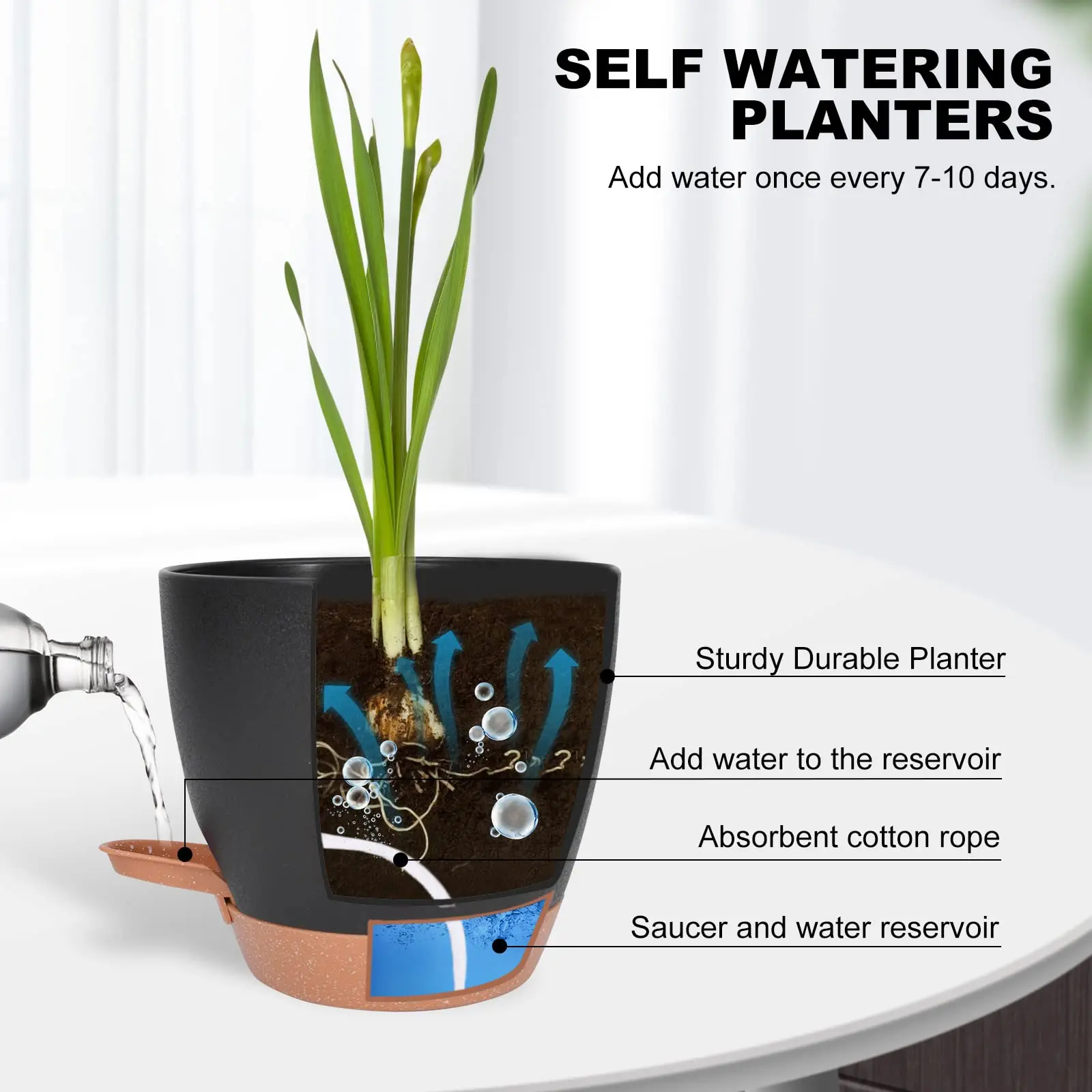 Customized Logo Plant Pots Self Watering Planters for Indoor Plants with Drainage Hole Nursery Planting Plastic Flower Pot