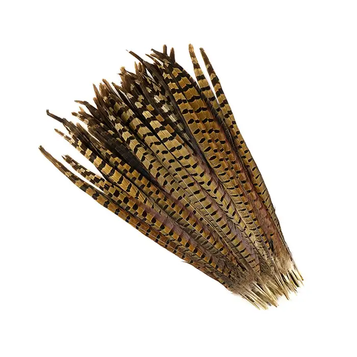 RINGNECK PHEASANT TAILS - NATURAL
