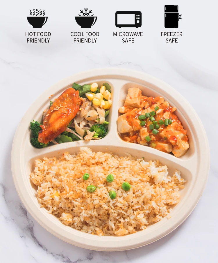 Custom 9 Inches Greaseproof and Microwave Safe Eco Friendly Bagasse Disposable Bio Degradable Plates